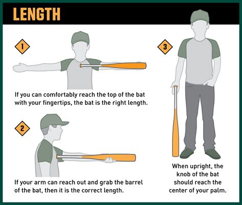 softball bat length for height.